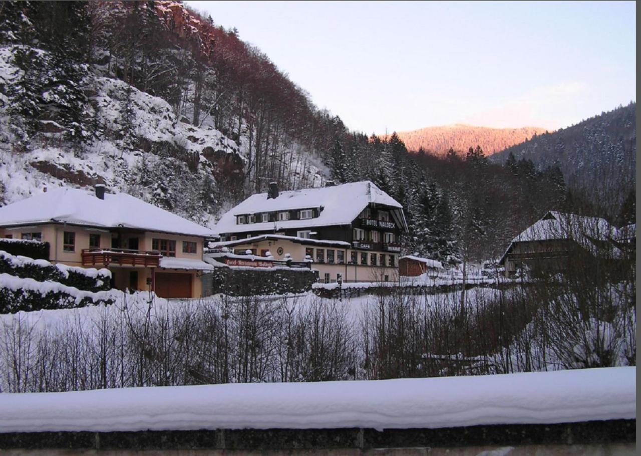 Hotel Waldeck In 토트나우 외부 사진